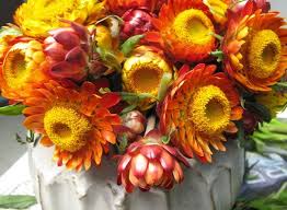 Pin On Love For Flora