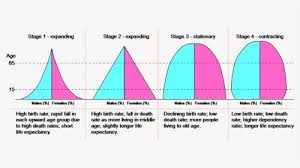 What is a contracting population pyramid? Dtm Pyramids Type 1 Population Pyramid Hd Png Download Kindpng