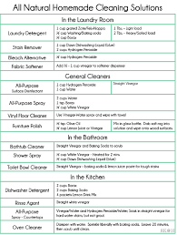 All Natural Cleaning Solution Chart Ill Stick To My Usual