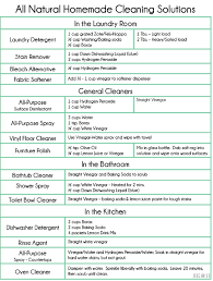 all natural cleaning solution chart ill stick to my usual