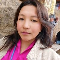 3700+ "Lhamo" profiles