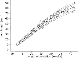 Figure 7 From Charts Of Fetal Size Limb Bones Semantic