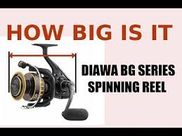 How Big Are Daiwa Bg Series Spinning Reels Size Review 2500