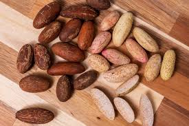 Image result for Cola pierlotii