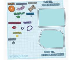Check spelling or type a new query. Animal And Plant Cell Construction Kit Nwa3d