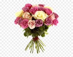 Check spelling or type a new query. Bouque Png Pink And White Rose Pink Roses Avas Flowers Transparent Png Vhv