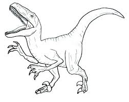 Dibujo de velociraptor para colorear imprimir o descargar. Velociraptor Coloring Pages Free Printable Coloring Pages For Kids