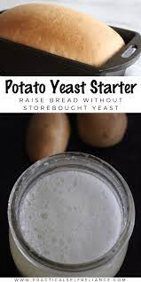 Potato Yeast Starter For Baking Bread Yeast Starter Bread Recipes Homemade Bread Baking