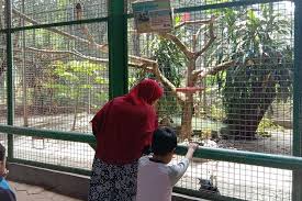 Rp.40.000 per orang buka tutup. Orangtua Jangan Sibuk Dengan Gadget Saat Di Kebun Binatang Ragunan Halaman All Kompas Com