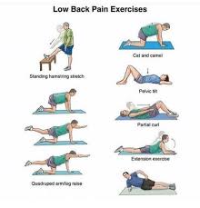 Для просмотра онлайн кликните на видео ⤵. Low Back Pain Exercise Cat And Camel Standing Hamstring Stretch Pelvic Tilt Partial Curl Extension Exercise Quadruped Armleg Raise Meme On Me Me