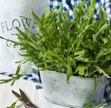 Rucola Aus Dem Kasten Gemuse Anpflanzen Rucola Pflanzen Rucola