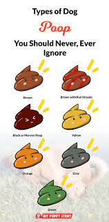 What Does The Colour Of Your Dog S Poop Mean My Puppy Story