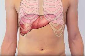 Rib cage pain may be sharp, dull, or achy and felt at or below the chest or above the navel on either side. Enlarged Liver Symptoms Diagnosis And Treatment