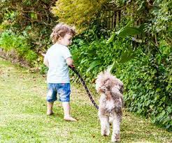 Check spelling or type a new query. Bondi Vet S Dr Lisa Shares How To Introduce Pets To A New Baby And Some Exciting News