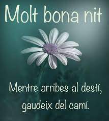 Bona Nit En 2021 Buenas Noches En Catalan Imagenes De Buenas Noches Saludos De Buenas Noches