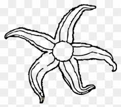 Starfish clipart black and white. Black And White Starfish Clipart Transparent Png Clipart Images Free Download Clipartmax