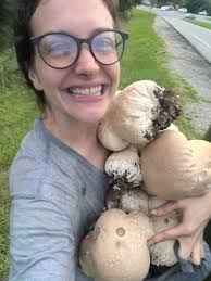 Calvatia cyathiformis mushroom identification and recipes in North Carolina