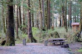 9 Amazing Forest Camping Grounds With Pictures Tongass National Forest Camping Places Colorado Outdoor