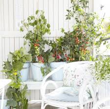 Kräuter, blumen oder sogar gemüse anzupflanzen und damit schon die kleinen. Balkongarten Tipps Zum Ernten Auf Dem Eigenen Balkon Living At Home