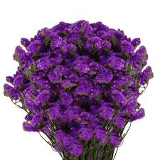 Filler flowers can add pop to a floral arrangement or mellow it down. Limonium Statice Flowers Purple Filler Flowers Globalrose