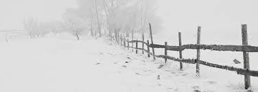 Obituary for Nell Byrd Ralph