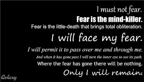 I Will Not Fear Fear Is The Mind Killer Pin On Quotes To Smile By
