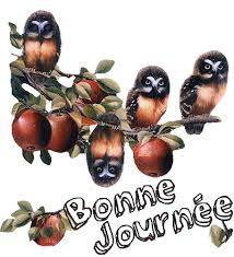 Résultat de recherche d'images pour "gifs chouette automne"