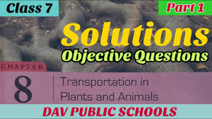 Maybe you would like to learn more about one of these? Dav Class 7 Science Chapter 8 Transportation In Plants And Animals Solutions Part 1 Objectives Youtube