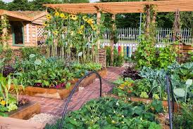 People take an interest in gardening for a variety of reasons—higher quality produce, exercise in the great outdoors or saving money. Vegetable Fruit Flower Garden With Crayon Fence Plant Flower Stock Photography Vegetable Garden Design Home Vegetable Garden Vegetable Garden Raised Beds