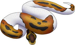 Pumpkin Pied Ball Python By Amarian Archives On Deviantart pumpkin pied ball python by amarian