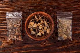 See full list on magicmushrooms101.com How Long Does Psilocybin Mushrooms Stay In Your System