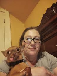 Missing Service Cat Redd in Terre Haute Vigo County Indiana