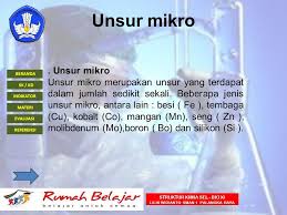 Berdasarkan komposisi kimianya, protein digolongkan menjadi dua, yaitu protein sederhana dan protein gabungan. Struktur Kimia Sel Dan Sel Sebagai Unit Terkecil Dari Kehidupan Ppt Download