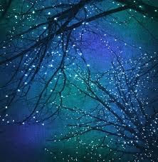 Beautiful Lights On The Trees Light Up The Night Sky Sky Color Night Skies Beautiful Photography
