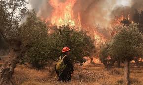 Δείτε στον πιο κάτω διαδραστικό χάρτη τις φωτιές που μαίνονται τώρα (live) στην ελλάδα. Nea Pyrkagia Sthn Attikh 3espase Fwtia Sta Kalybia Newsbomb Eidhseis News