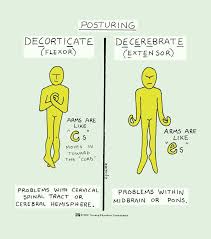 Pin On Nclex Flashcards