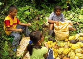 Image result for INDIGENAS CHOROTEGAS