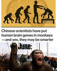 Planet Of The Apes Memes