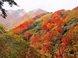 那須岳 紅葉が見頃 2020年10月13（火）～14日: ぽんぽこ狸の登山日誌2