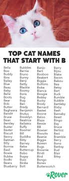 Exotic & unique female cat names & male cat names with an asian flare. We Ve Rounded Up The Top Cat And Kitten Names That Start With B Kitten Names Unique Cat Names Kitten Names