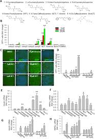 Stores are now a registered agent of the wisconsin department of motor vehicles. Liver Fat Storage Is Controlled By Hnf4a Through Induction Of Lipophagy And Is Reversed By A Potent Hnf4a Agonist Cell Death Disease