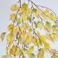 BOTANICAL ART, FALL LEAVES event image