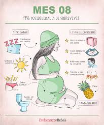 Calculadora Gestacional De Meses Para Semanas Anadir Pin De Imagen Embarazo Divertido Sintomas De Embarazo Consejos Para El Embarazo