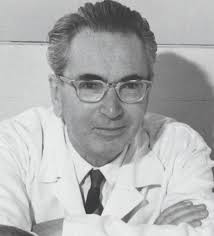 Viktor Frankl and the Search for Meaning: A Conversation with Alexander  Vesely and Mary Cimiluca