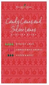 Pin By Olivia Blake On Essential Oil Diffuser Recipes Christmas Spirit Essential Oil Christmas Diffuser Blends Essential Oils Christmas