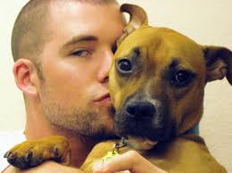 Il y a 6 ans|52 vues. It S A Pit Bull S Life Sway Ian Somerhalder Foundation
