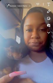 Chihuahua owners sharing their pets' ages and experiences