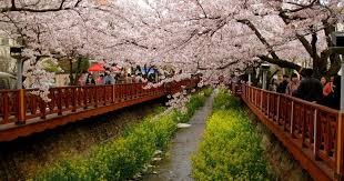 Pertumbuhan korsel tetap kuat, negara tahan terhadap fluktuasi dari risiko geopolitik. Wallpaper Pemandangan Di Jepang Wallpaper Pemandangan Wallpaper Pemandangan Di Jepanghttp Pemandanganoce Blogspot Com 2017 Japan Travel Travel Garden Bridge