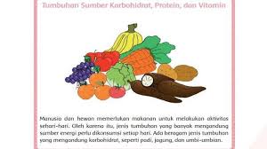 Makanan yang mengandung protein vitamin dan karbohidrat. Apa Karbohidrat Protein Dan Vitamin Tema 1 Kelas 6 Sd Halaman 58 59 60 61 Subtema 1 Pembelajaran 6 Halaman All Tribun Padang