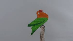 Sebenarnya sketsa merupakan suatu kerangka menggambar. 76 Gambar Burung Lovebird Kartun Paling Keren Gambar Pixabay